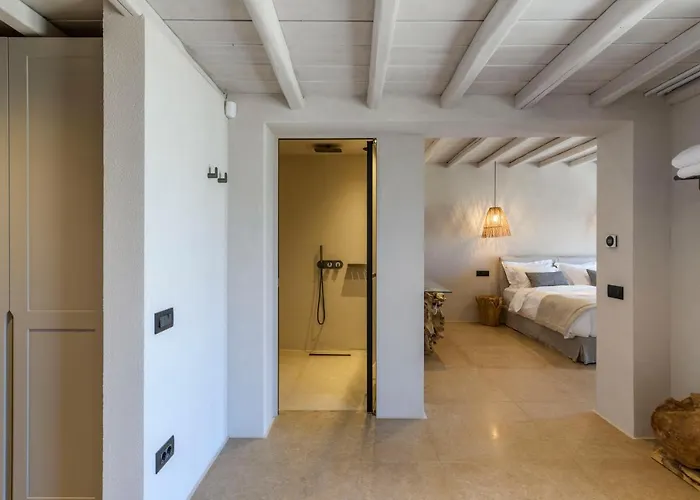 Muse Mansion Mykonos Ορνός