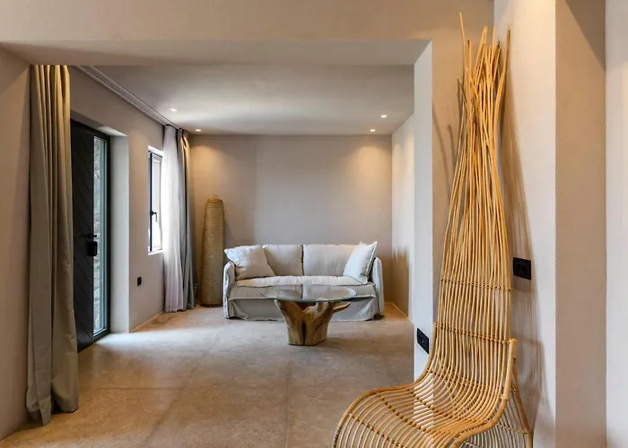 Muse Mansion Mykonos 别墅 *