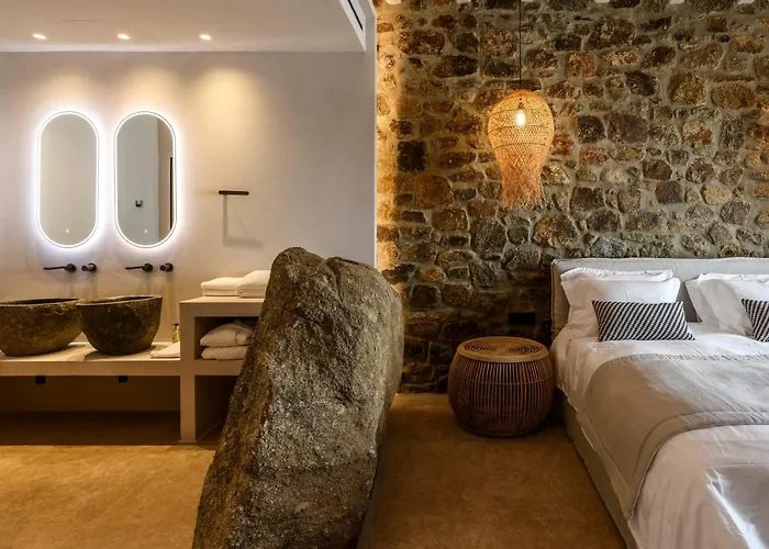 Muse Mansion Mykonos 别墅 *