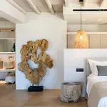 Muse Mansion Mykonos Villa *